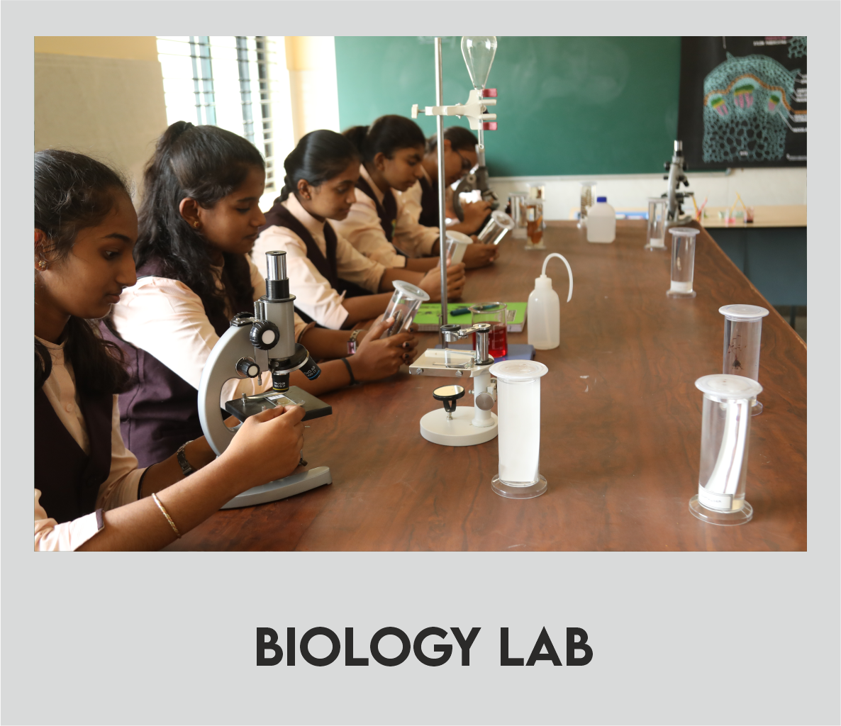 Biology Lab